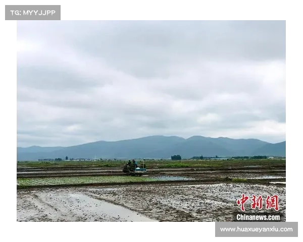 中国体操队新周期选拔制度改革推动队伍发展与竞技水平提升